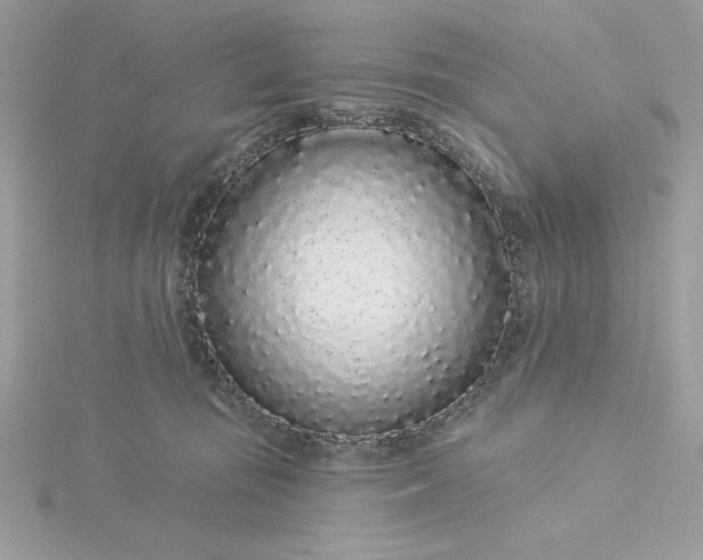 X0000116040371200912041817