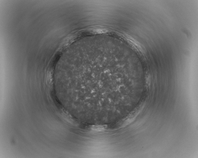 X0000116040373200912041817