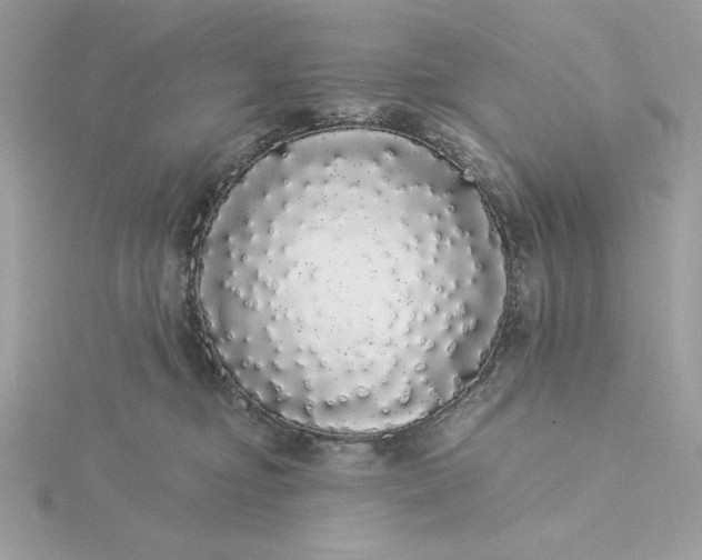 X0000116040374200912041817