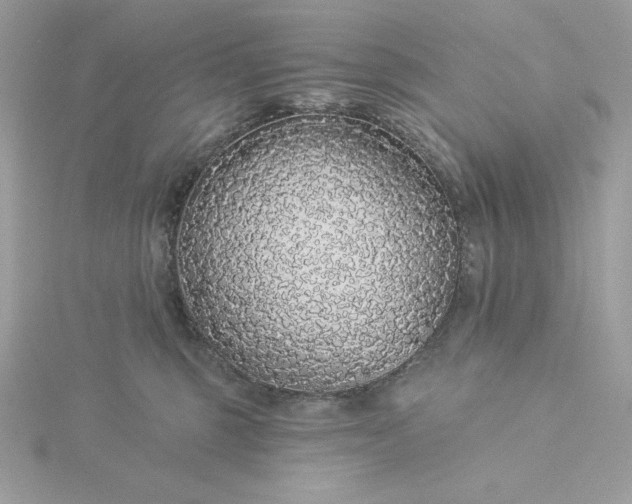 X0000116040375200912041817