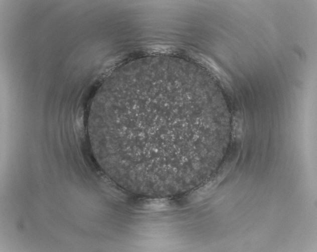 X0000116040377200912041817