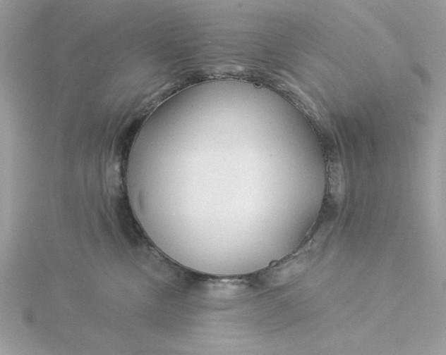 X0000116040378200912041817