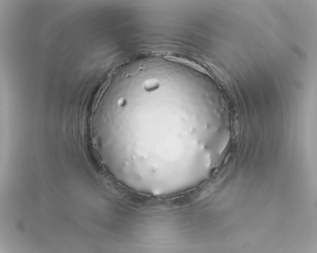 X0000116040379200912041817