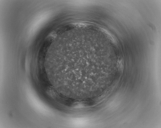 X0000116040381200912041817