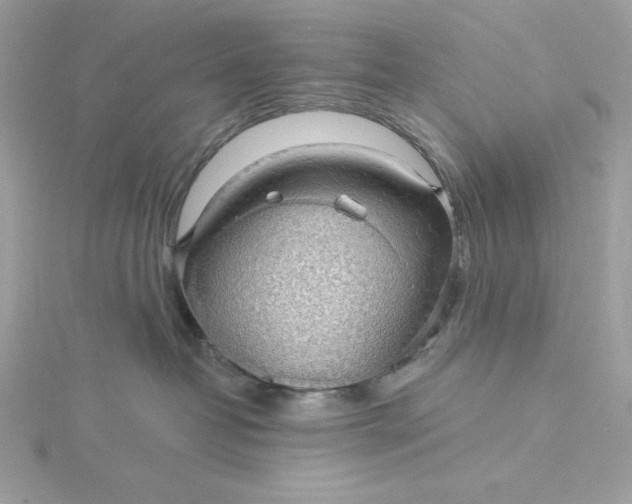 X0000116040382200912041817