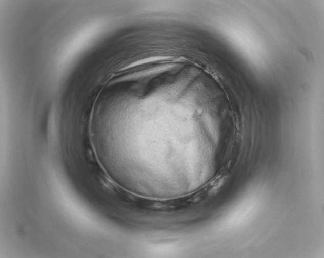 X0000116040383200912041817