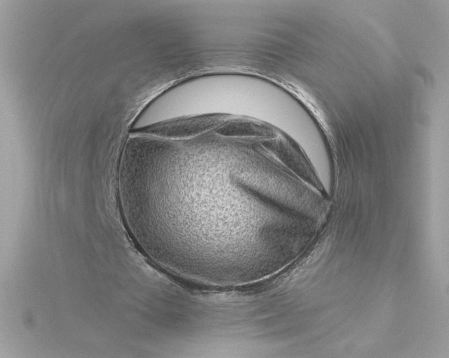 X0000116040385200912041816