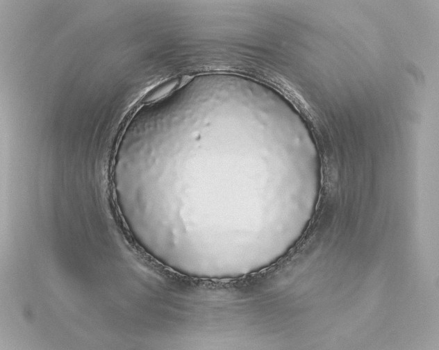 X0000116040386200912041816