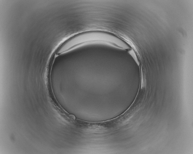 X0000116040387200912041816