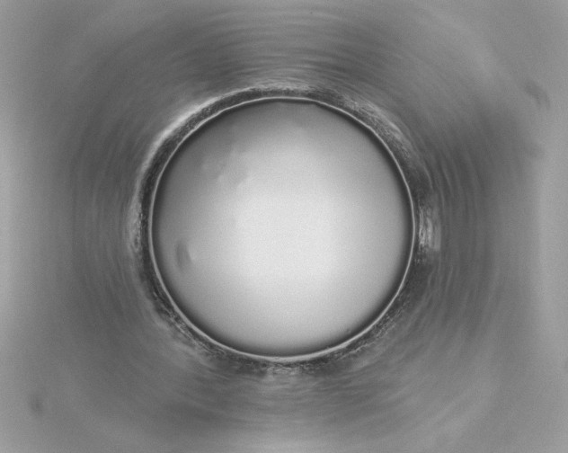 X0000116040388200912041816