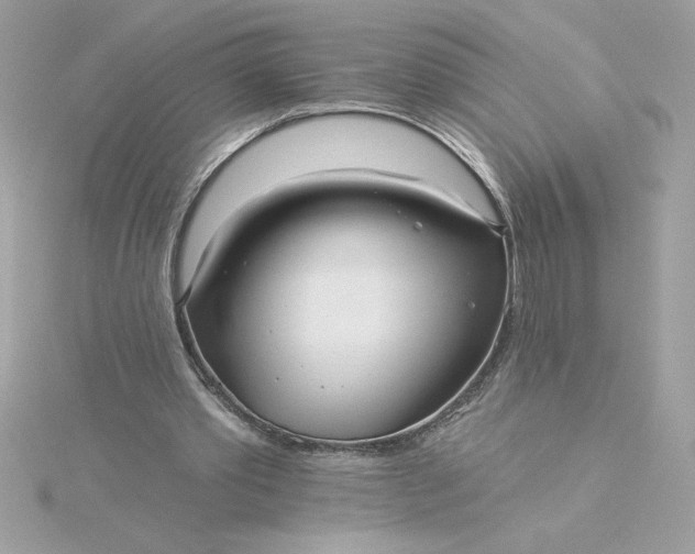 X0000116040389200912041816