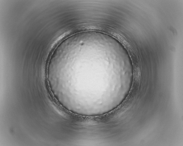 X0000116040390200912041816