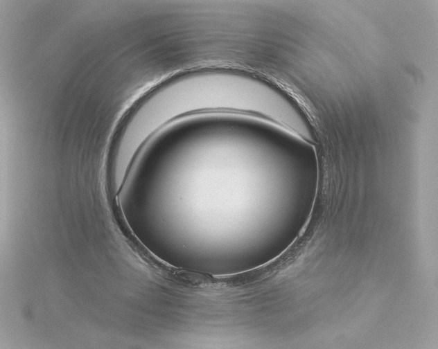 X0000116040391200912041816