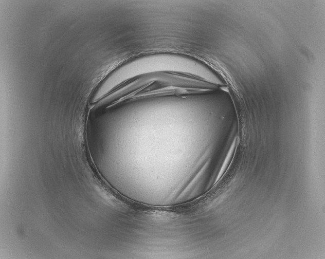 X0000116040393200912041816