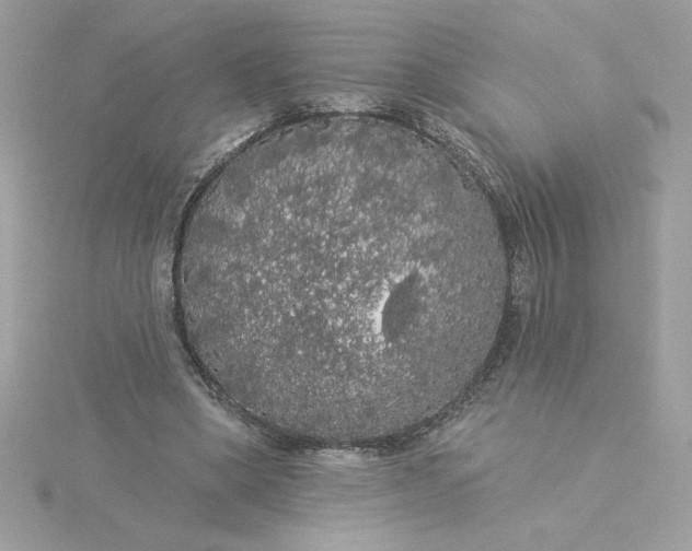 X0000116040394200912041816