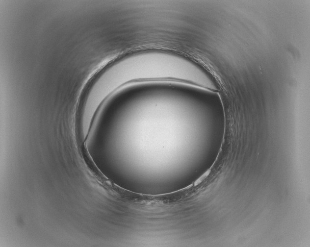 X0000116040395200912041816