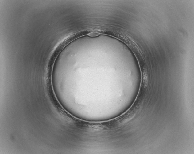 X0000116040396200912041816