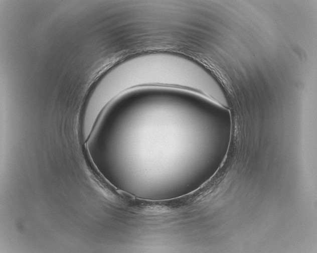 X0000116040397200912041816