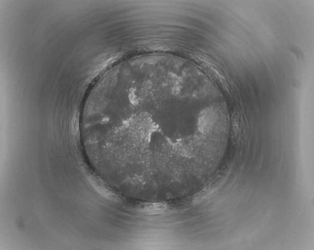 X0000116040398200912041816