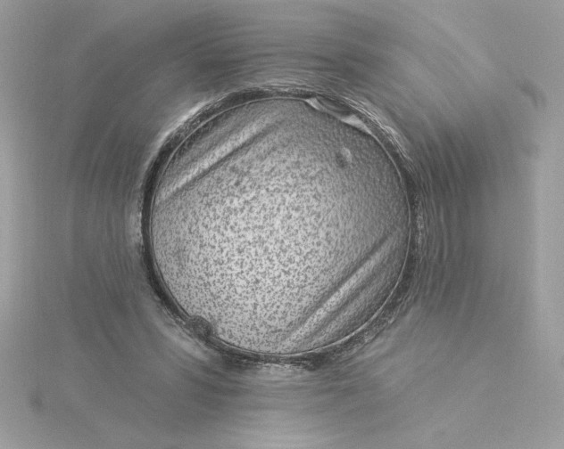 X0000116040399200912041816