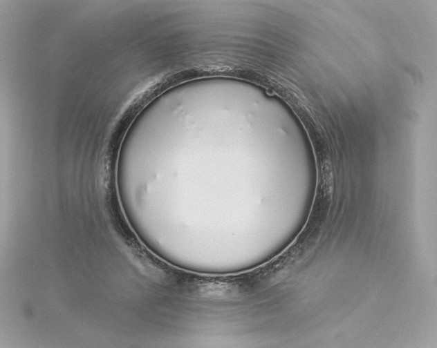 X0000116040400200912041816