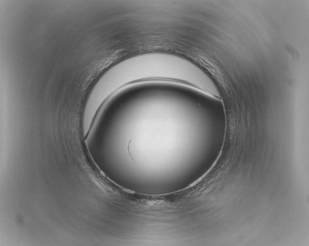 X0000116040401200912041816