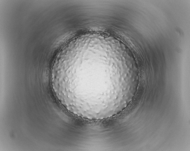 X0000116040402200912041816