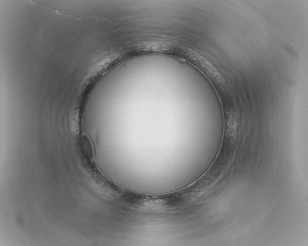 X0000116040403200912041816