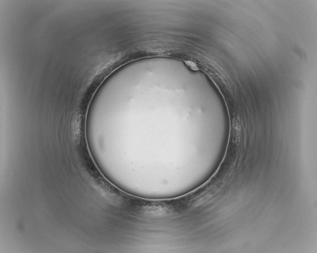 X0000116040404200912041816