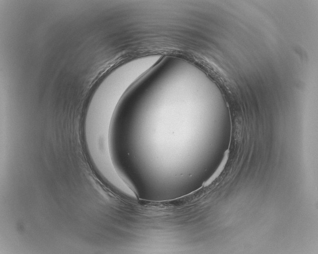 X0000116040405200912041816