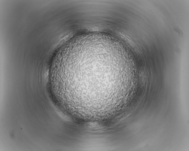 X0000116040406200912041816