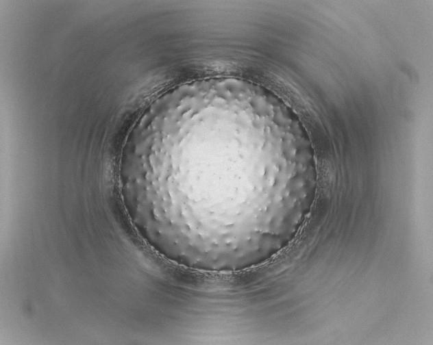 X0000116040410200912041816