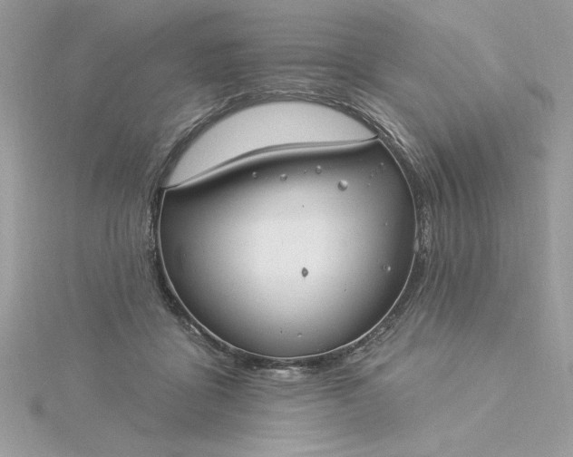 X0000116040411200912041816