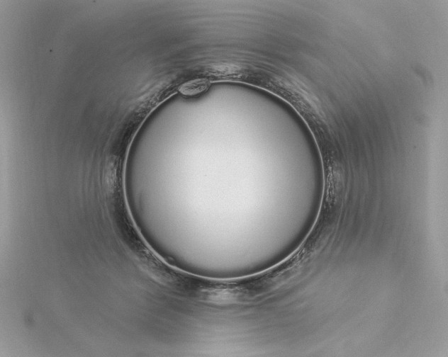 X0000116040412200912041816