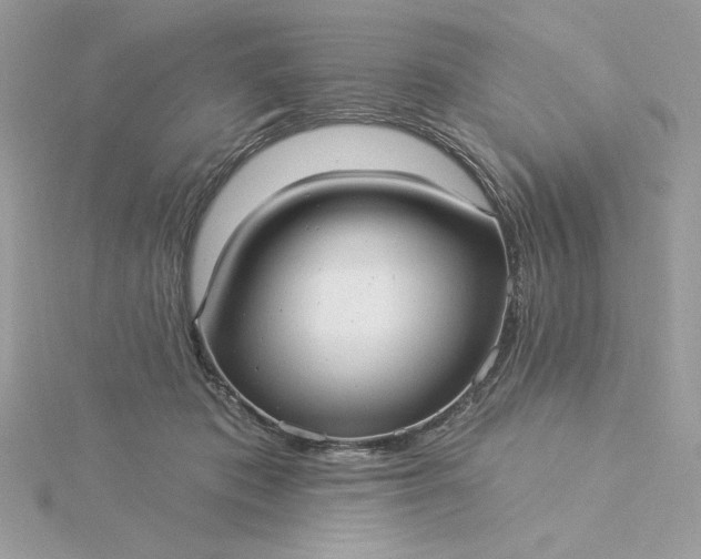 X0000116040413200912041816