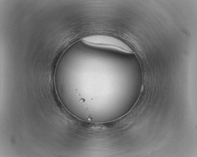 X0000116040415200912041816