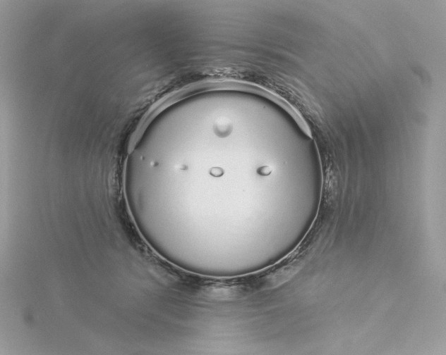 X0000116040416200912041816