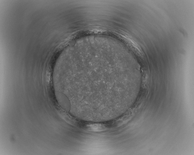 X0000116040417200912041816