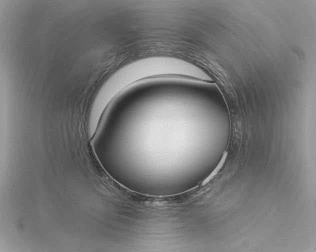 X0000116040419200912041816