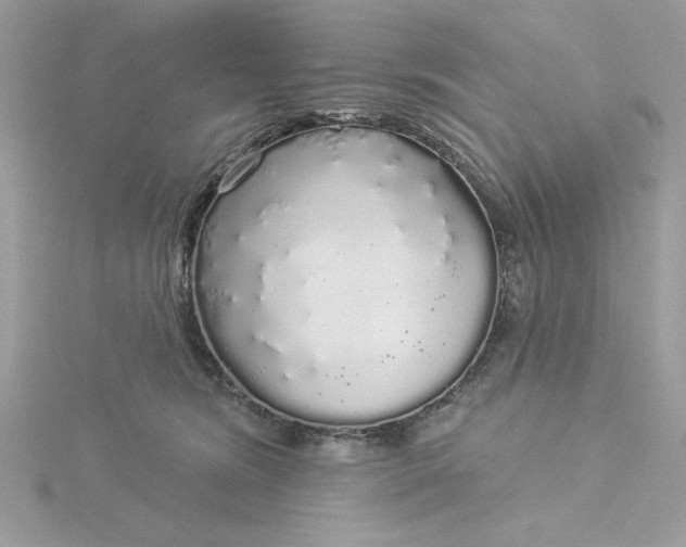 X0000116040420200912041816