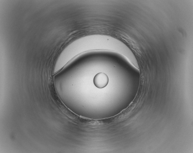 X0000116040421200912041816