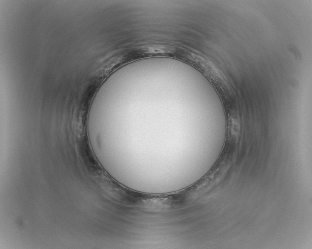 X0000116040422200912041816