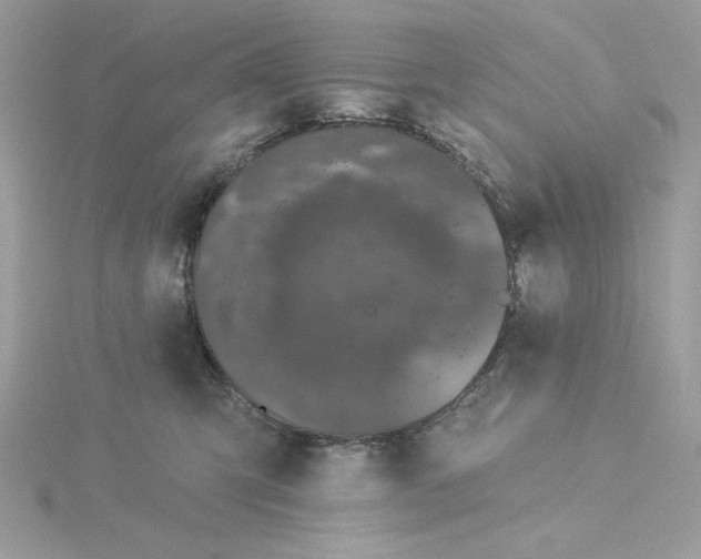 X0000116040423200912041816