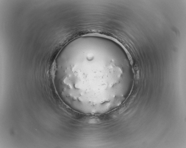 X0000116040424200912041816