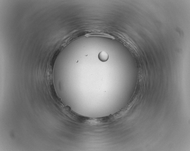 X0000116040425200912041815