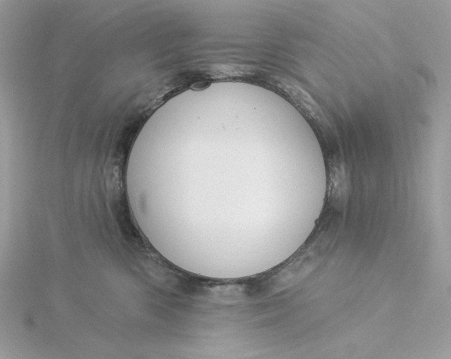 X0000116040426200912041815