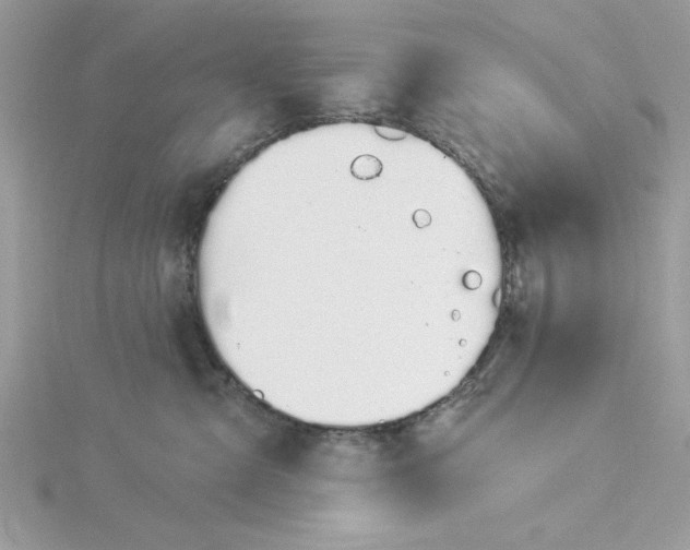 X0000116040427200912041815