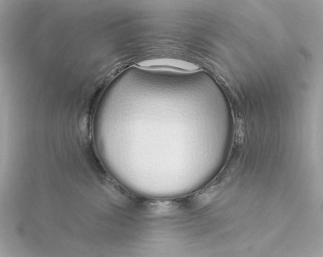 X0000116040428200912041815