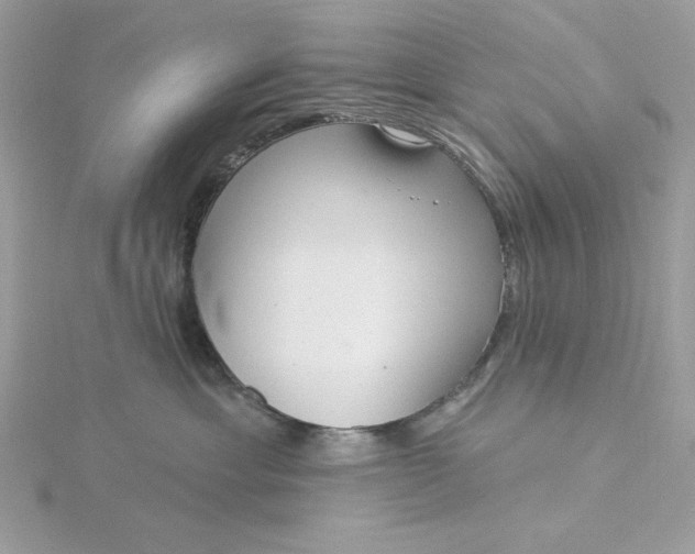 X0000116040429200912041815