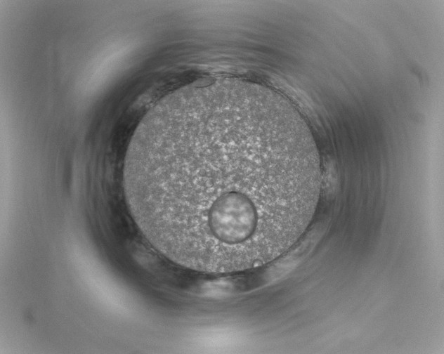 X0000116040430200912041815